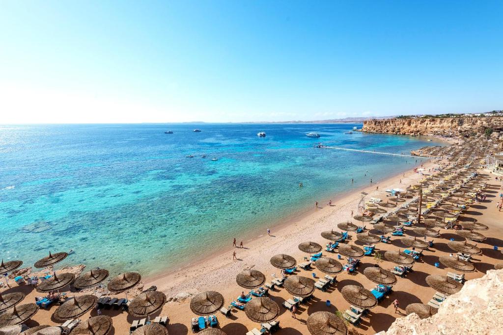 Rixos Sharm El Sheikh Review Price Sharm El Sheikh Rixos Sharm El Sheikh Review Price Sharm El Sheikh